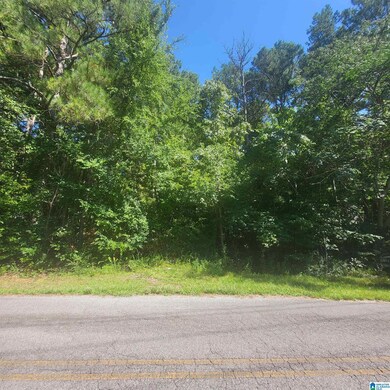 0 Grogan Rd, Talladega, AL 35160 - photo 4