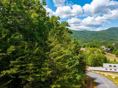 LOT 2012 Deep Gap Farm Rd E, Mill Spring, NC 28756 - photo 7