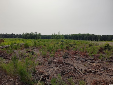 View of local wilderness with rural landscape