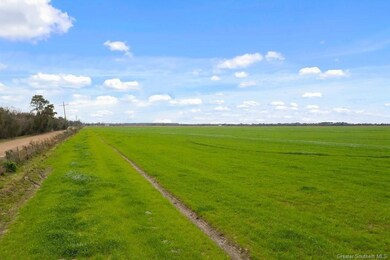 0 Willie Rd unit SWL23002568, Iowa, LA 70647 - photo 3