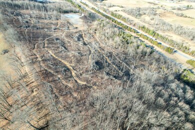 DJI_0224