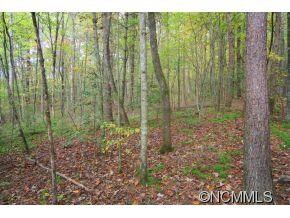 0 Clear Stone Rd, Hendersonville, NC 28792 - photo 7