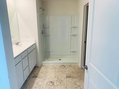 410 Conover Dr, Joliet, IL 60436 - photo 6