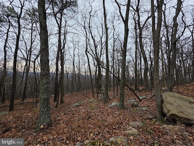 Lot 38 SEC V Breakeven Ln, Berkeley Springs, WV 25411 - photo 3