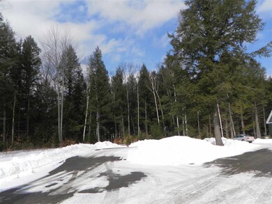 0 Pollard Pines Dr, Lincoln, NH 03251 - photo 3