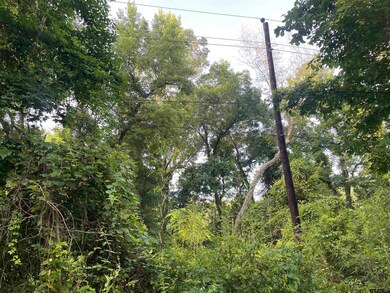 TBD Fm 16, Winona, TX 75792 - photo 4