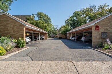 41 Centre St unit 102, Brookline, MA 02446 - photo 5