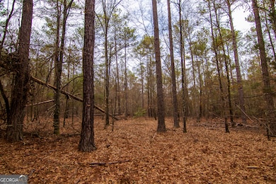 0 Salem Rd unit 10453687, Pine Mountain, GA 31822 - photo 6