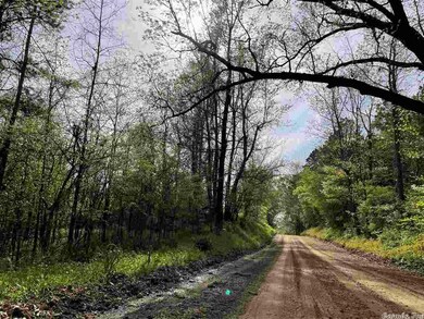 4576 Greene Road 610, Beech Grove, AR 72412 - photo 4