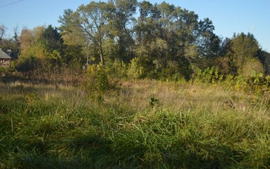 Additional View