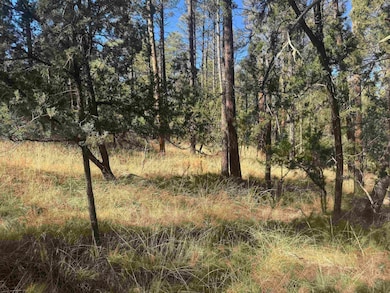 0 Dixwood Dr unit 171905, Timberon, NM 88350 - photo 5