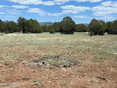 230 Camp Rd, Ash Fork, AZ 86320 - photo 6