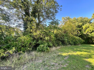 4230 Silver Spring Rd, Perry Hall, MD 21128 - photo 4