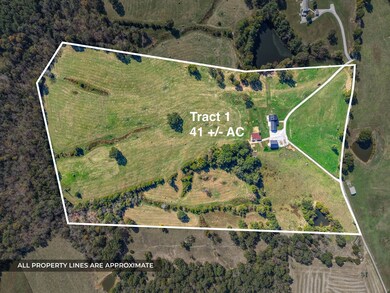 2760 Wallace Fork Rd, Princeton, KY 42445 - photo 2