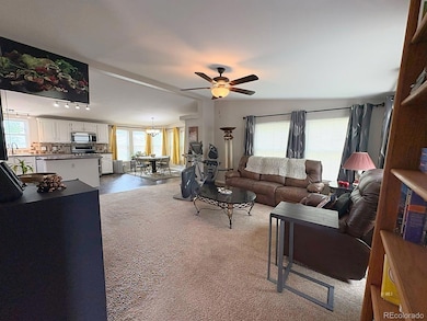 29 Granada Ct, Westcliffe, CO 81252 - photo 5