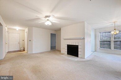 4406 Silverbrook Ln unit J103, Owings Mills, MD 21117 - photo 4