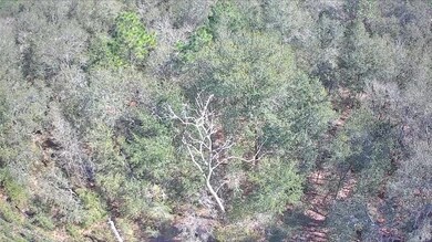 2848 W Buccaneer Ln, Citrus Springs, FL 34433 - photo 4