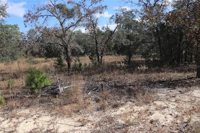 9097 N Peewee Point, Dunnellon, FL 34433 - photo 2