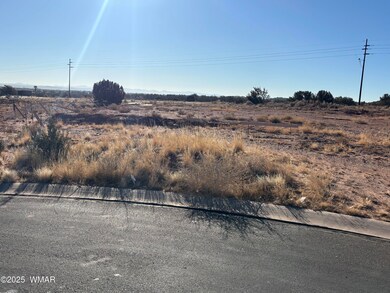 2153 W Elk Rd, Snowflake, AZ 85937 - photo 2