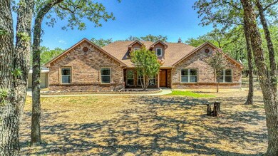 147 Macanudo Ln, Weatherford, TX 76085 - photo 5