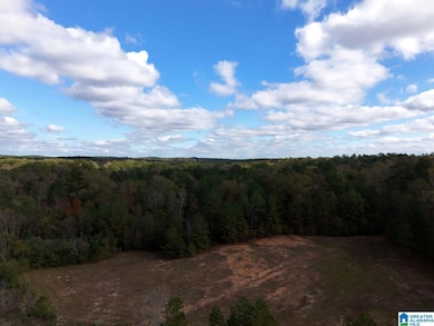 0 Limestone Dr unit 21404125, Calera, AL 35040 - photo 2