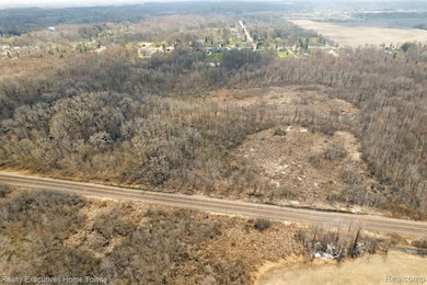 00 Griswold Rd, Smiths Creek, MI 48074 - photo 4