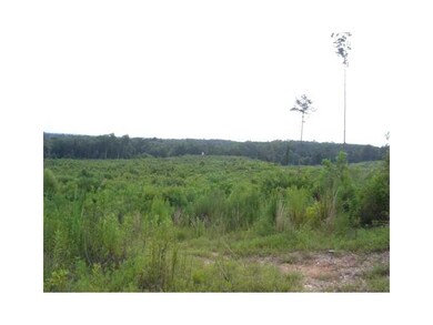 0 Bill Pace Rd, Franklinton, LA 70438 - photo 2