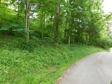 2330 Sulphur Springs Hollow Rd, Somerset, KY 42501 - photo 4