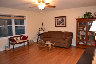 Looking From the Hall