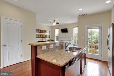 23218 Scholl Manor Way unit 1328, Clarksburg, MD 20871 - photo 6