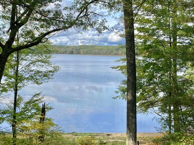 3858 W Wildwood Ave, Bitely, MI 49309 - photo 3