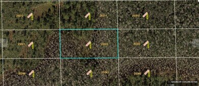 0 Dill Rd unit MFRO6234185, Orlando, FL 32820 - photo 2