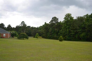 45 Miller Rd, Havana, FL 32333 - photo 5