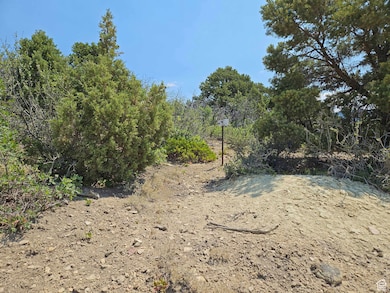 View of undeveloped land