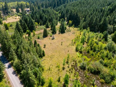 0 London-Weyerhaeuser Rd unit 24578803, Cottagegrove, OR 97424 - photo 5