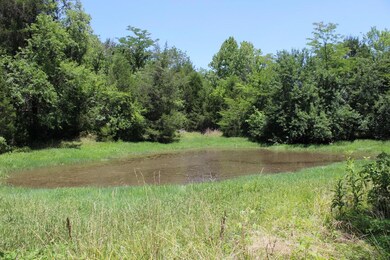 VERY LARGE POND FOR THE ANIMALS OF ALL KINDS CAN GET WATER TO DRINK