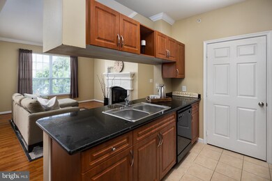 12900 Centre Park Cir unit 407, Herndon, VA 20171 - photo 7