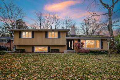 308 S Charles Ave, Naperville, IL 60540 - photo 2