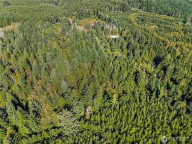 0 Rixon Rd unit NWM2443833, South Bend, WA 98586 - photo 4