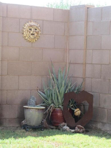 Back Exterior 3