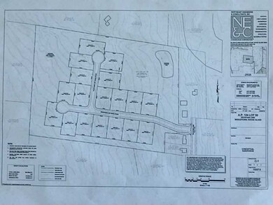 Plat Map. CONCEPTUAL SUBDIVISION 0 PECKHAM