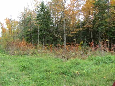 0 Heritage unit 4516854, Stewartstown, NH 03597 - photo 3