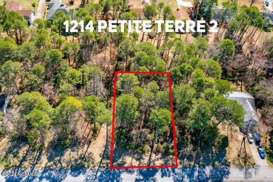 1216 Petite Terre Ct, New Bern, NC 28560 - photo 7