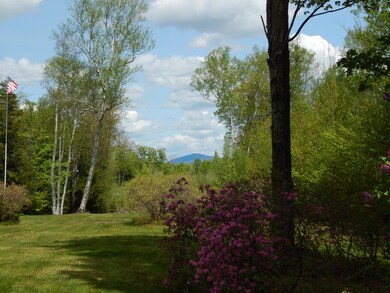 689 West Rd, Bradford, NH 03221 - photo 4