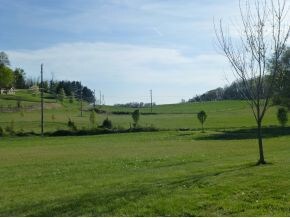 View from Front Porch