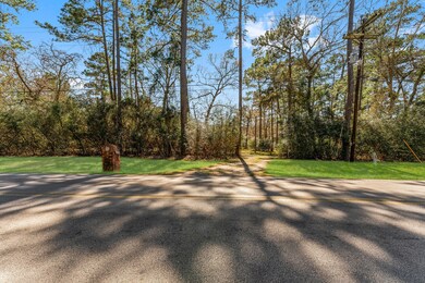 22915 Baneberry Rd, Magnolia, TX 77355 - photo 4