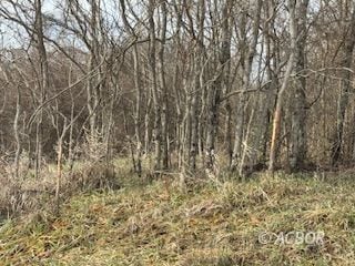 15750 Bryson Rd, Millfield, OH 45761 - photo 3