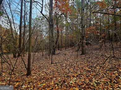 0 Windy Hill Rd unit 10646717, Franklin, GA 30217 - photo 6