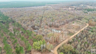 303 County Road 4268, Simms, TX 75574 - photo 2