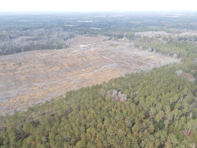 25 acres Goat Hill Rd, Samson, AL 36477 - photo 3